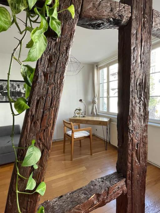Appartement 2 Chambres Au Coeur De Strasbourg Eksteriør billede