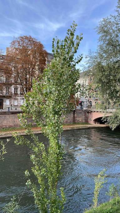 Appartement 2 Chambres Au Coeur De Strasbourg Eksteriør billede