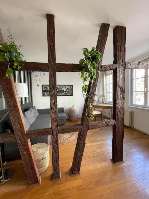 Appartement 2 Chambres Au Coeur De Strasbourg Eksteriør billede